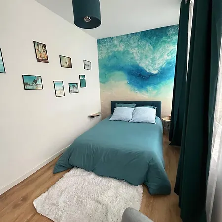 Cosy Californienne En Hyper Centre Apartmán Valenciennes