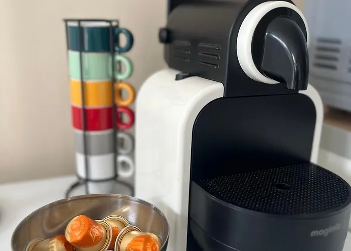 Appartement Cosy Californienne En Hyper Centre *